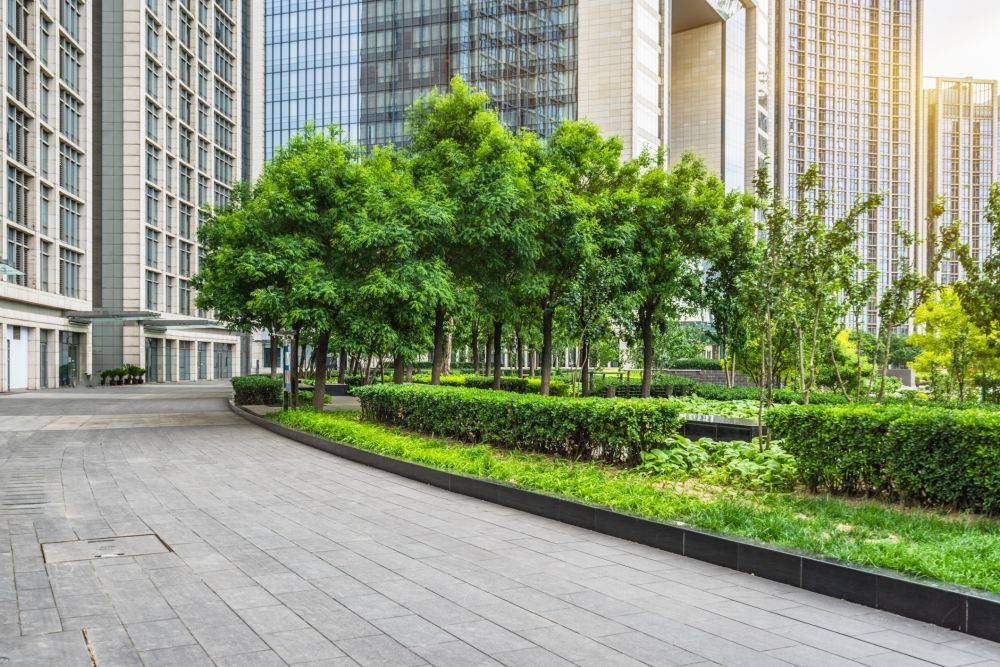 Commercial Hedge Trimming