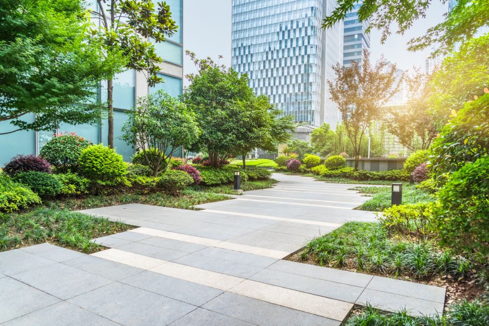 Commercial Shrub Pruning