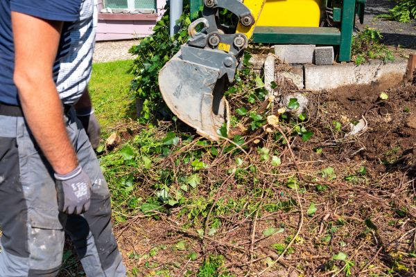 Hedge Removal Service in Joplin
