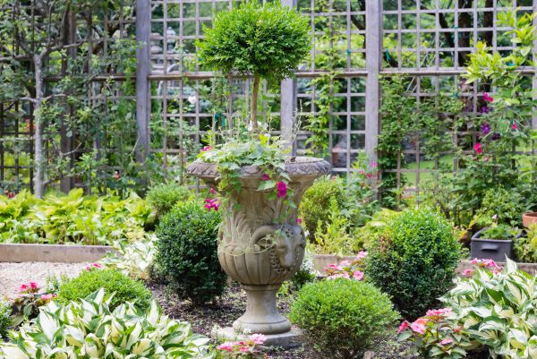 Topiary Pruning in Joplin