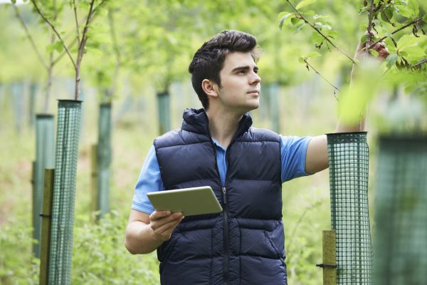Tree Health Management