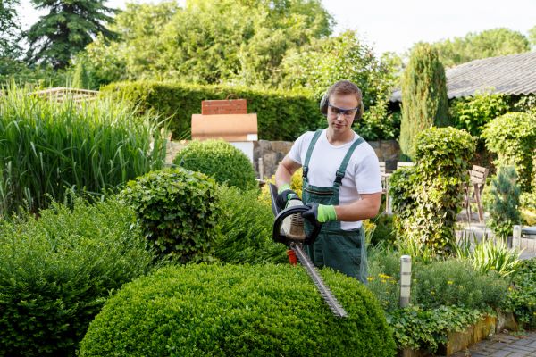 Shrubs Trimming in Joplin
