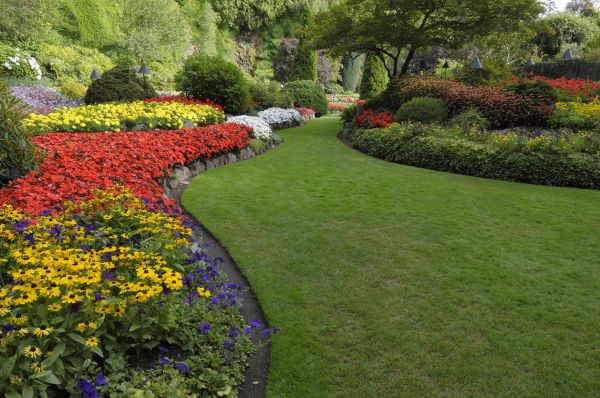 Landscape Grooming