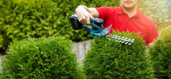 Hedge Shaping Service in Joplin