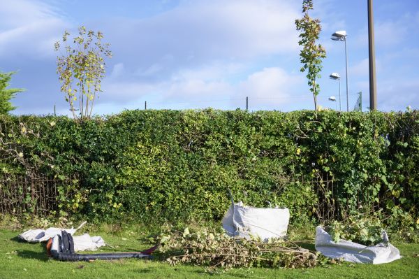 Hedge Clearing